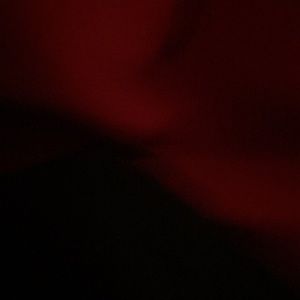 Meet your Posher, Payton